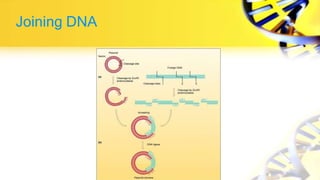 Joining DNA
 