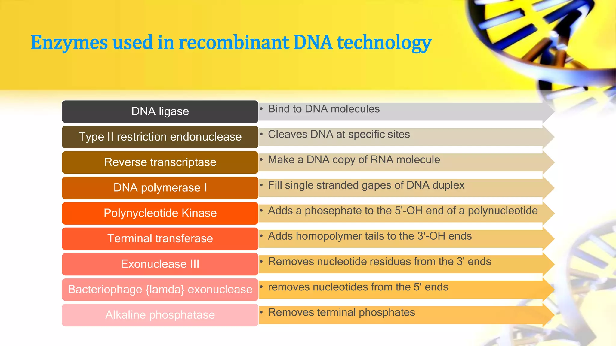 Enzymes used in recombinant DNA technology
• Bind to DNA moleculesDNA ligase
• Cleaves DNA at specific sitesType II restriction endonuclease
• Make a DNA copy of RNA moleculeReverse transcriptase
• Fill single stranded gapes of DNA duplexDNA polymerase I
• Adds a phosephate to the 5'-OH end of a polynucleotidePolynycleotide Kinase
• Adds homopolymer tails to the 3'-OH endsTerminal transferase
• Removes nucleotide residues from the 3' endsExonuclease III
• removes nucleotides from the 5' endsBacteriophage {lamda} exonuclease
• Removes terminal phosphatesAlkaline phosphatase
 