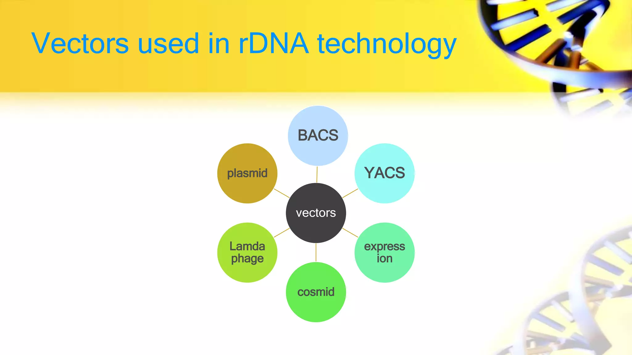 Vectors used in rDNA technology
vectors
BACS
YACS
express
ion
cosmid
Lamda
phage
plasmid
 