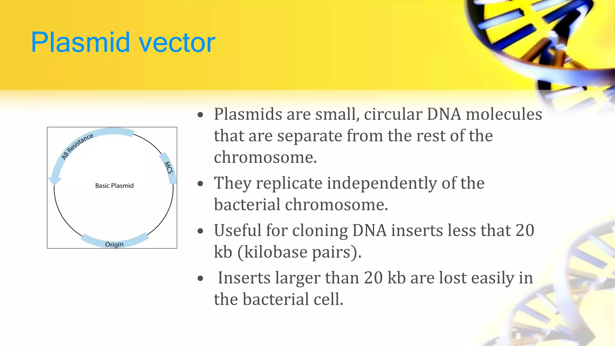 Plasmid vector
• Plasmids are small, circular DNA molecules
that are separate from the rest of the
chromosome.
• They replicate independently of the
bacterial chromosome.
• Useful for cloning DNA inserts less that 20
kb (kilobase pairs).
• Inserts larger than 20 kb are lost easily in
the bacterial cell.
 