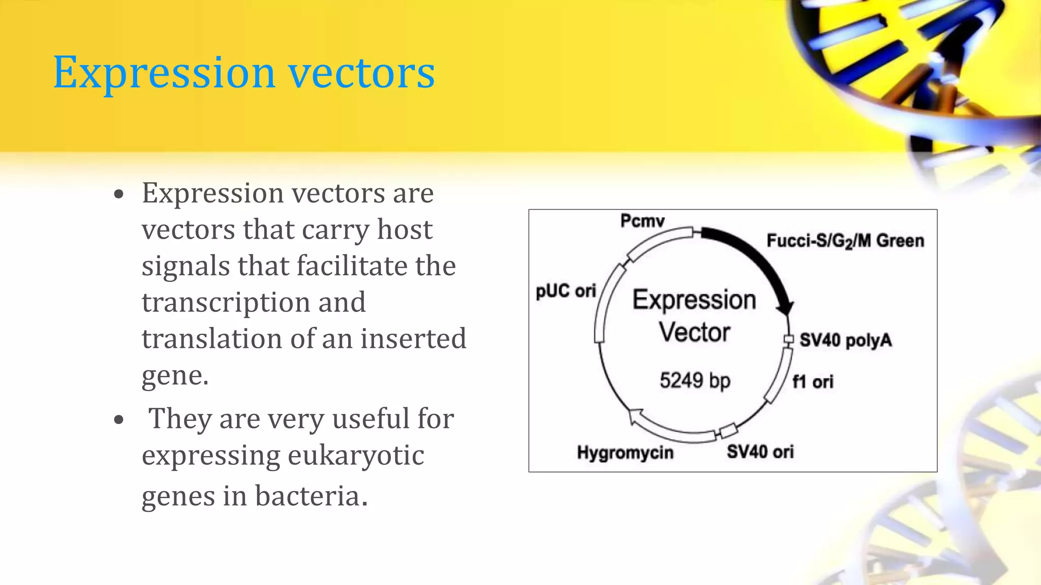 Expression vectors
• Expression vectors are
vectors that carry host
signals that facilitate the
transcription and
translation of an inserted
gene.
• They are very useful for
expressing eukaryotic
genes in bacteria.
 