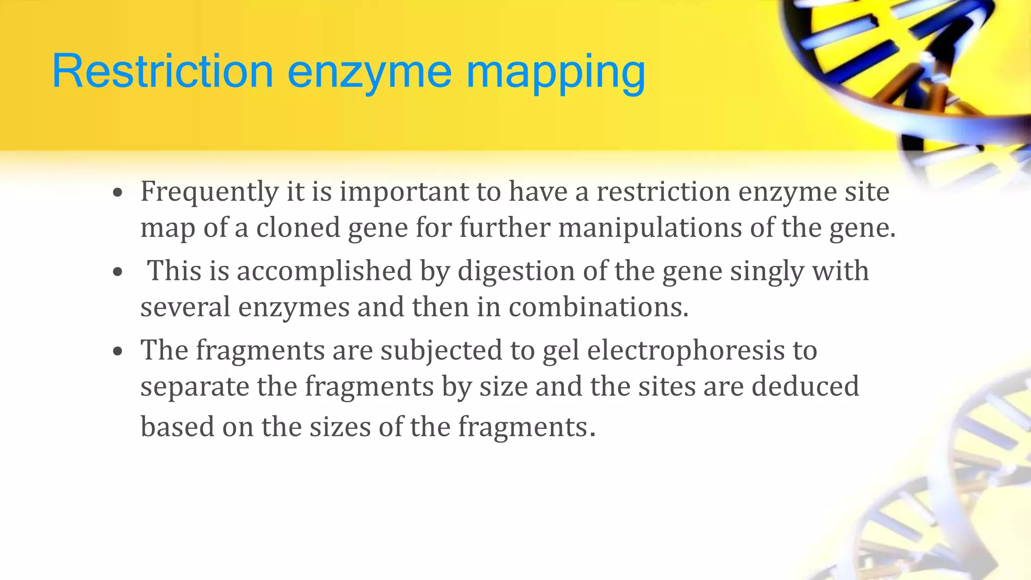 Restriction enzyme mapping
• Frequently it is important to have a restriction enzyme site
map of a cloned gene for further manipulations of the gene.
• This is accomplished by digestion of the gene singly with
several enzymes and then in combinations.
• The fragments are subjected to gel electrophoresis to
separate the fragments by size and the sites are deduced
based on the sizes of the fragments.
 