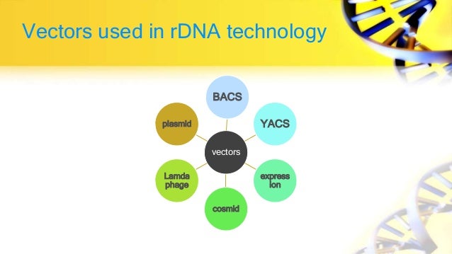 Recombinant Dna Technology