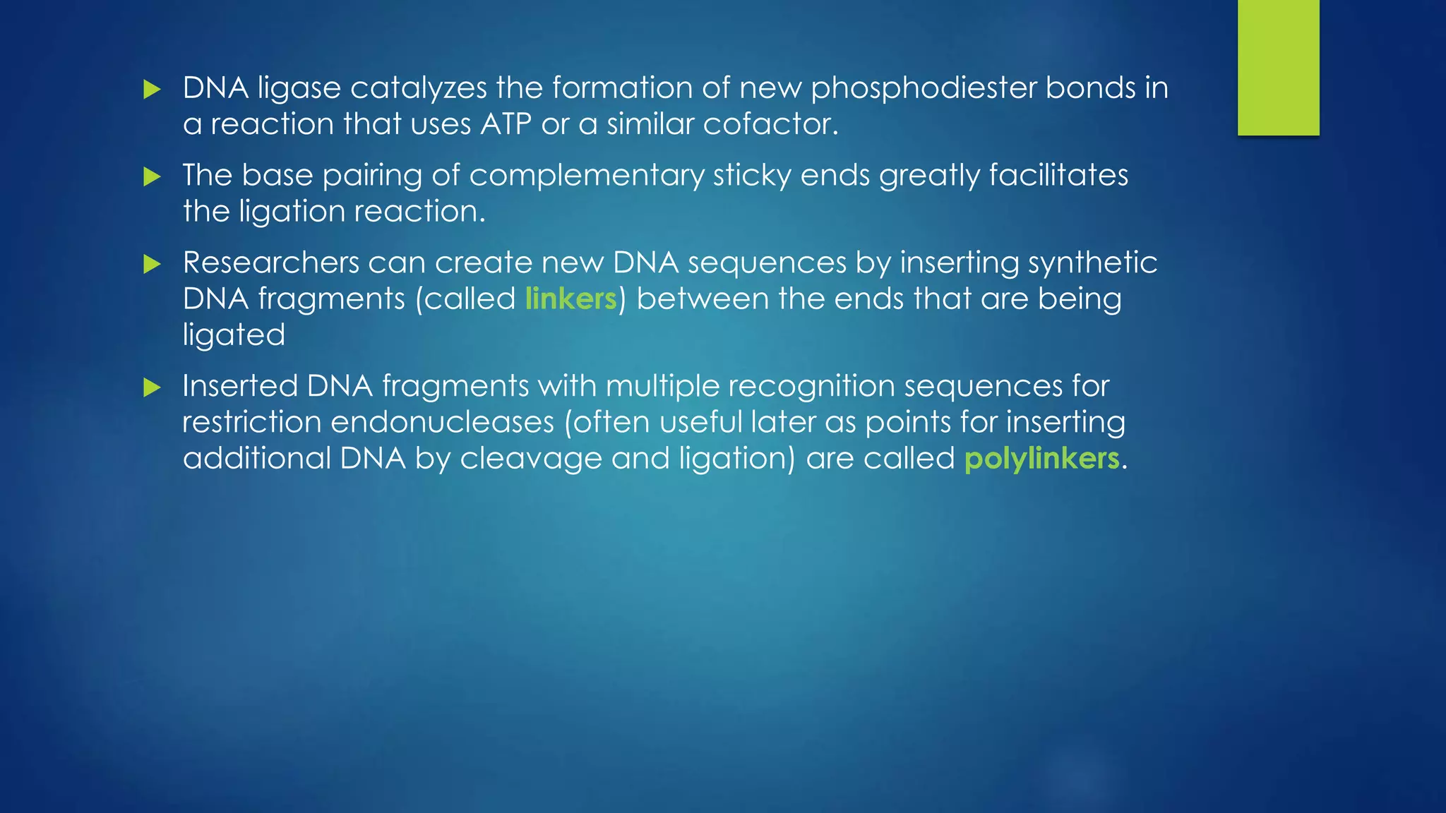  DNA ligase catalyzes the formation of new phosphodiester bonds in
a reaction that uses ATP or a similar cofactor.
 The base pairing of complementary sticky ends greatly facilitates
the ligation reaction.
 Researchers can create new DNA sequences by inserting synthetic
DNA fragments (called linkers) between the ends that are being
ligated
 Inserted DNA fragments with multiple recognition sequences for
restriction endonucleases (often useful later as points for inserting
additional DNA by cleavage and ligation) are called polylinkers.
 