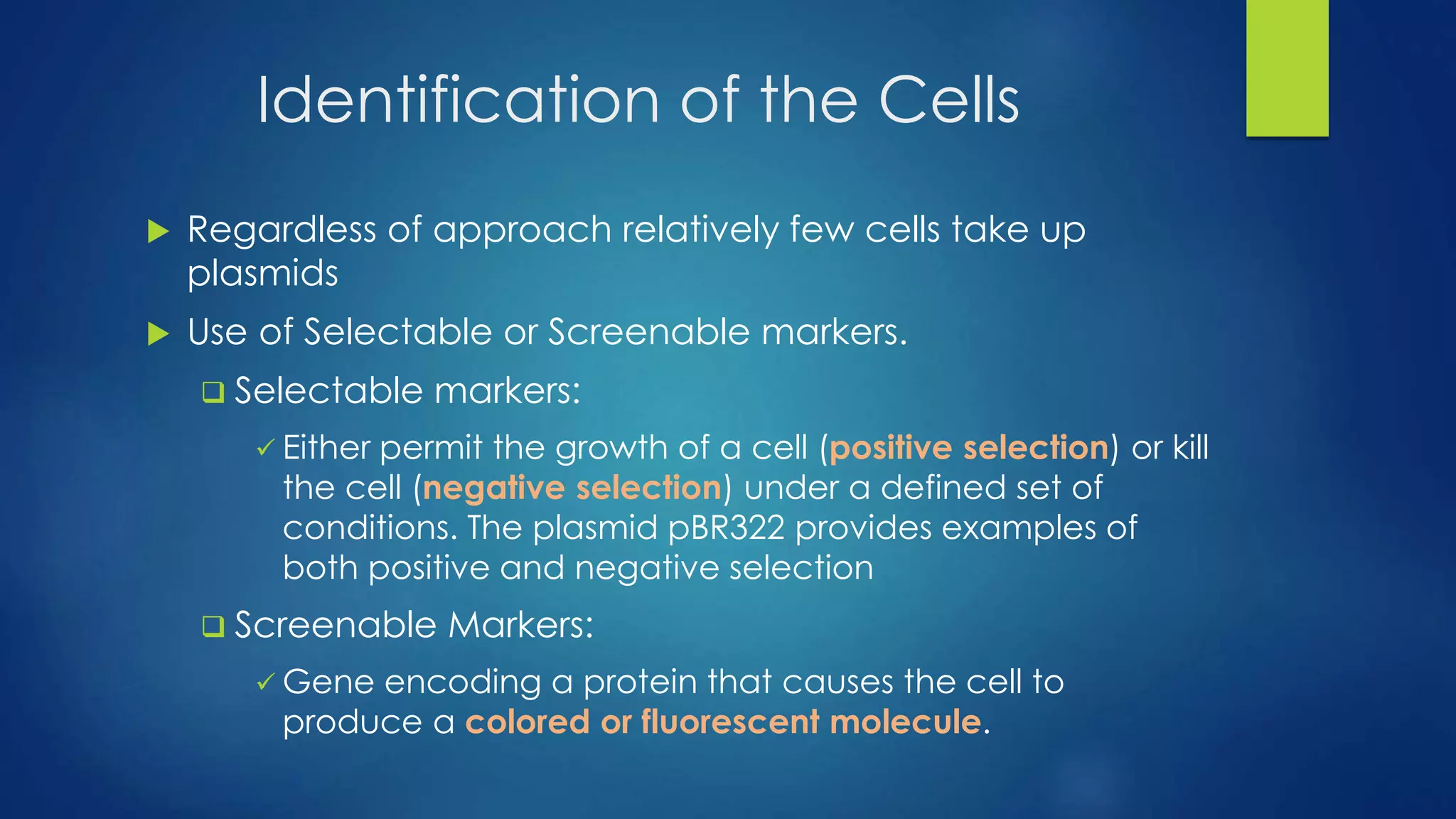 Identification of the Cells
 Regardless of approach relatively few cells take up
plasmids
 Use of Selectable or Screenable markers.
 Selectable markers:
 Either permit the growth of a cell (positive selection) or kill
the cell (negative selection) under a defined set of
conditions. The plasmid pBR322 provides examples of
both positive and negative selection
 Screenable Markers:
 Gene encoding a protein that causes the cell to
produce a colored or fluorescent molecule.
 