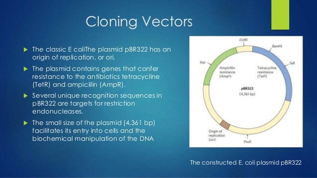 Recombinant DNA Technology (Introdcution)