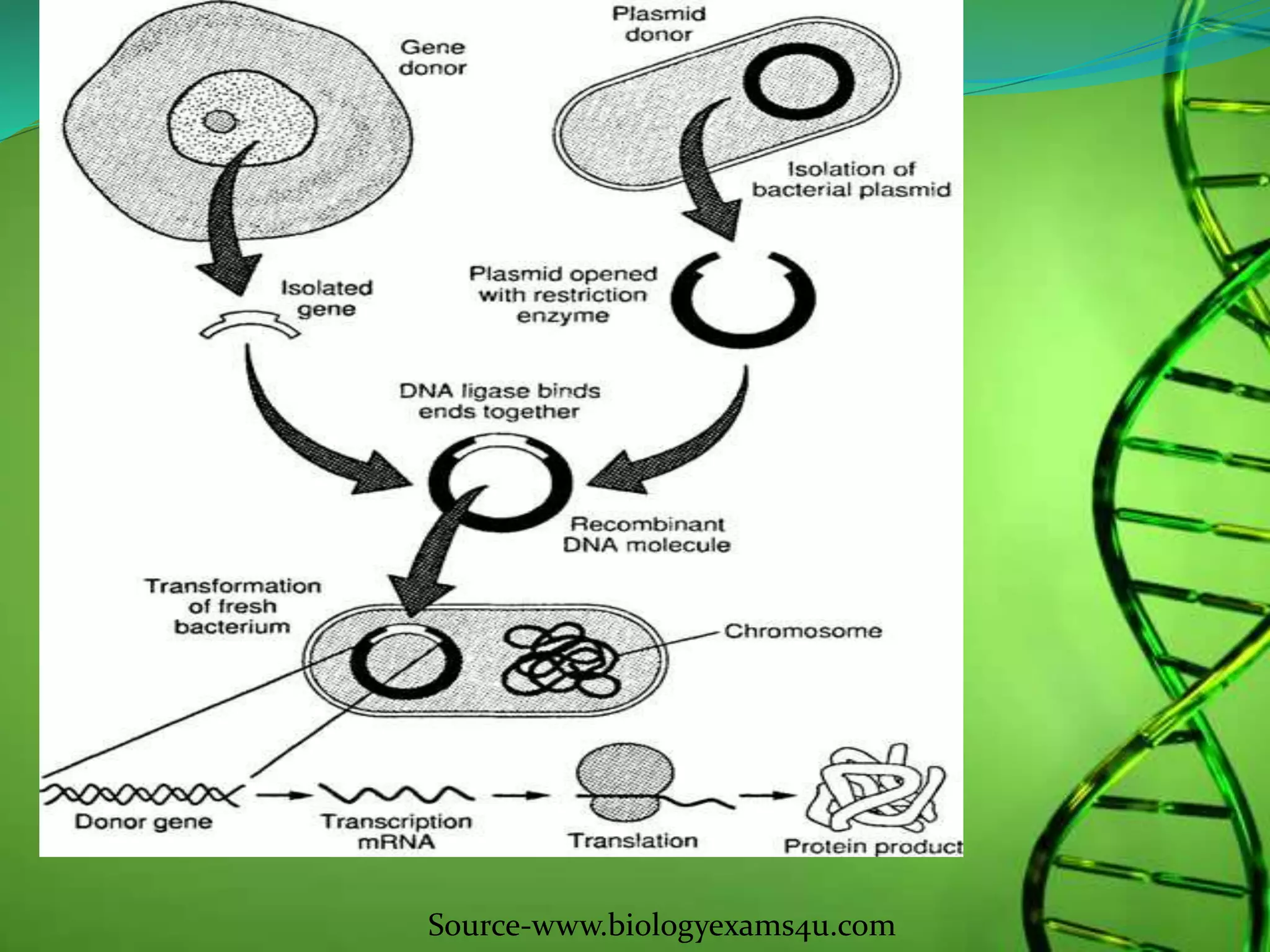 Source-www.biologyexams4u.com
 