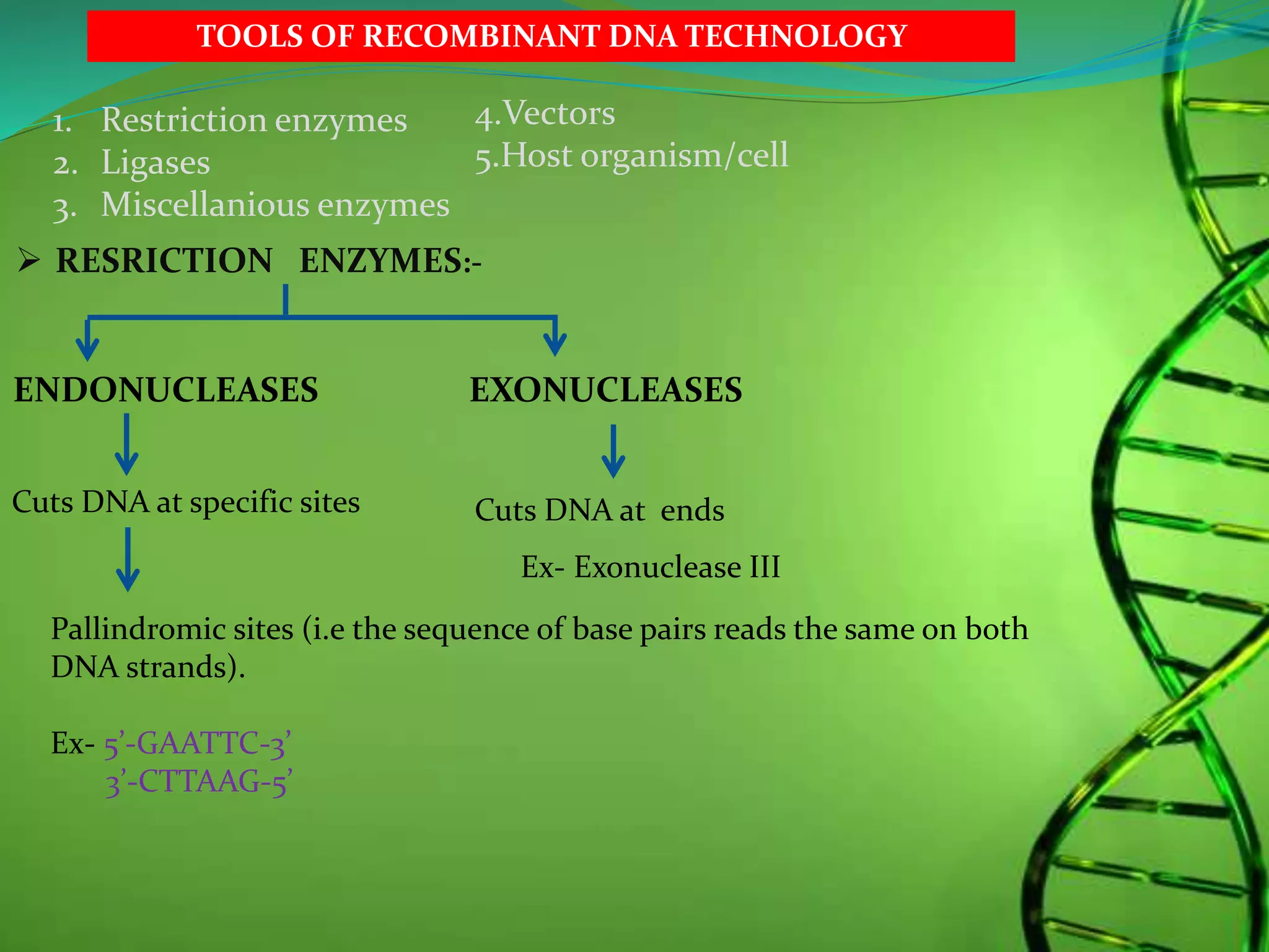 1. Restriction enzymes
2. Ligases
3. Miscellanious enzymes
 RESRICTION ENZYMES:-
ENDONUCLEASES
Cuts DNA at ends
EXONUCLEASES
Cuts DNA at specific sites
Pallindromic sites (i.e the sequence of base pairs reads the same on both
DNA strands).
Ex- 5’-GAATTC-3’
3’-CTTAAG-5’
4.Vectors
5.Host organism/cell
Ex- Exonuclease III
TOOLS OF RECOMBINANT DNA TECHNOLOGY
 