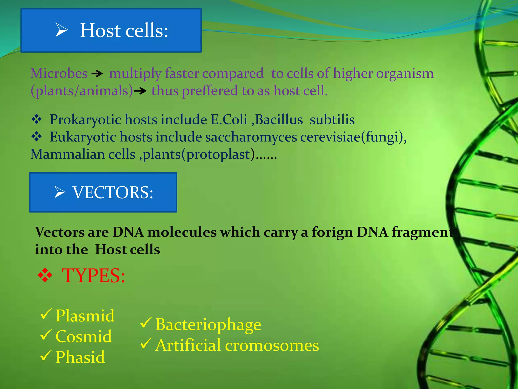 Microbes multiply faster compared to cells of higher organism
(plants/animals) thus preffered to as host cell.
 Prokaryotic hosts include E.Coli ,Bacillus subtilis
 Eukaryotic hosts include saccharomyces cerevisiae(fungi),
Mammalian cells ,plants(protoplast)......
 Host cells:
 VECTORS:
Vectors are DNA molecules which carry a forign DNA fragment
into the Host cells
 TYPES:
 Plasmid
 Cosmid
 Phasid
 Bacteriophage
 Artificial cromosomes
 