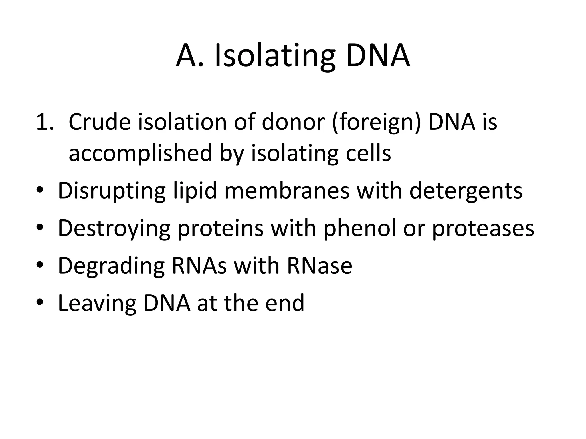 A. Isolating DNA
1. Crude isolation of donor (foreign) DNA is
accomplished by isolating cells
• Disrupting lipid membranes with detergents
• Destroying proteins with phenol or proteases
• Degrading RNAs with RNase
• Leaving DNA at the end
 