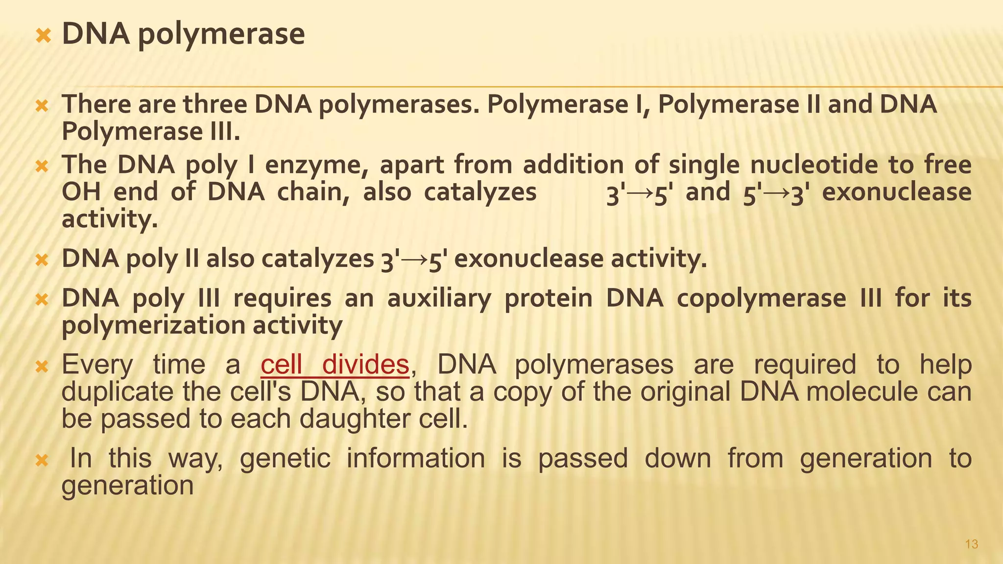  DNA polymerase
 There are three DNA polymerases. Polymerase I, Polymerase II and DNA
Polymerase III.
 The DNA poly I enzyme, apart from addition of single nucleotide to free
OH end of DNA chain, also catalyzes 3'→5' and 5'→3' exonuclease
activity.
 DNA poly II also catalyzes 3'→5' exonuclease activity.
 DNA poly III requires an auxiliary protein DNA copolymerase III for its
polymerization activity
 Every time a cell divides, DNA polymerases are required to help
duplicate the cell's DNA, so that a copy of the original DNA molecule can
be passed to each daughter cell.
 In this way, genetic information is passed down from generation to
generation
13
 