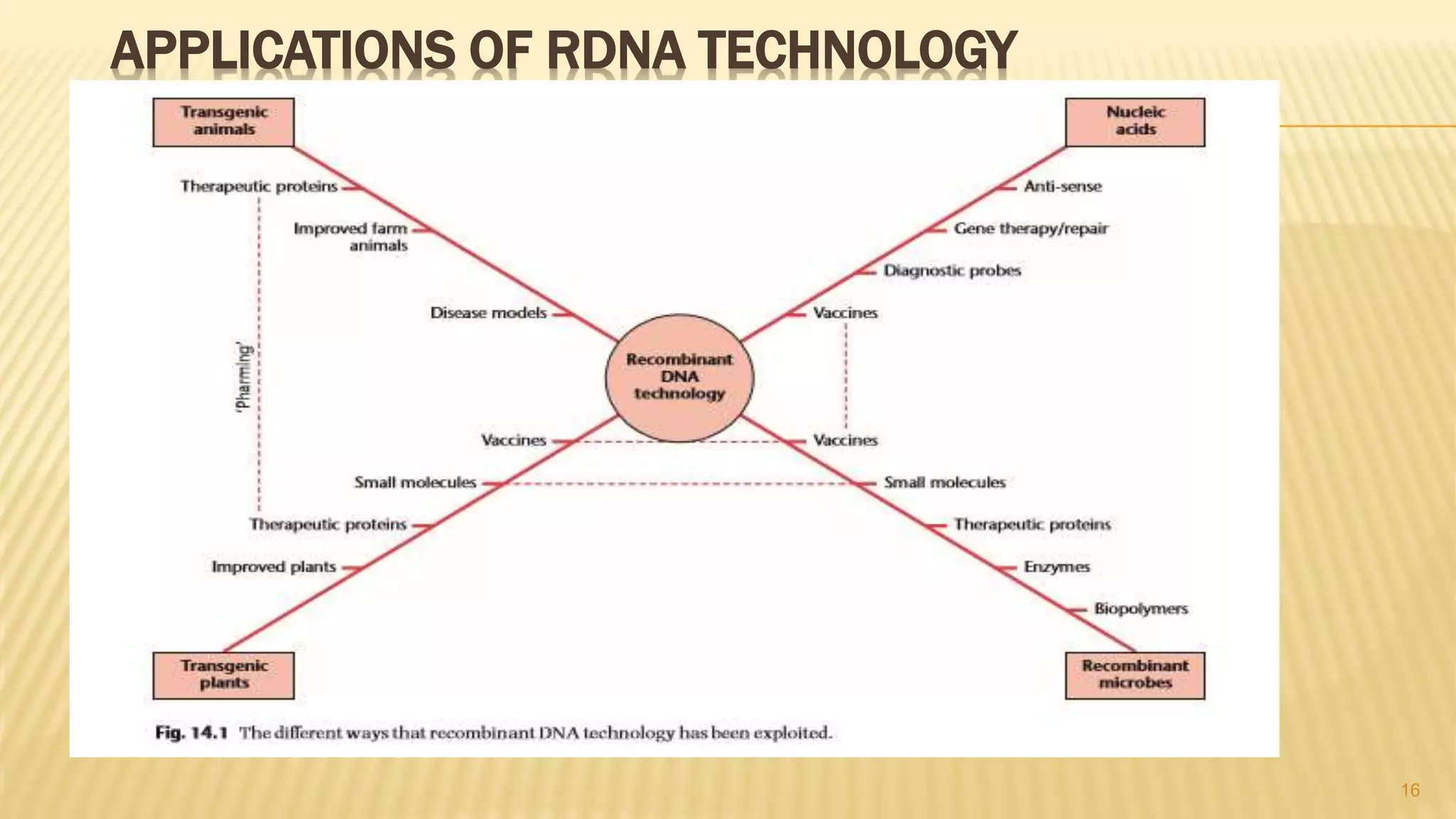 APPLICATIONS OF RDNA TECHNOLOGY
16
 