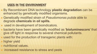 USES IN THE ENVIRONMENT
 By Recombinant DNA technology plastic degradation can be
enhanced by genetically modified organisms.
 Genetically modified strain of Pseudomonas putida able to
degrade chemicals in oil spills.
 used in development of bioindicators.
 bacteria have been genetically modified as 'bioluminescors' that
give off light in response to several chemical pollutants.
 used for the production of transgenic plants with:
 higher yield
 nutritional values.
 increased resistance to stress and pests 24
 