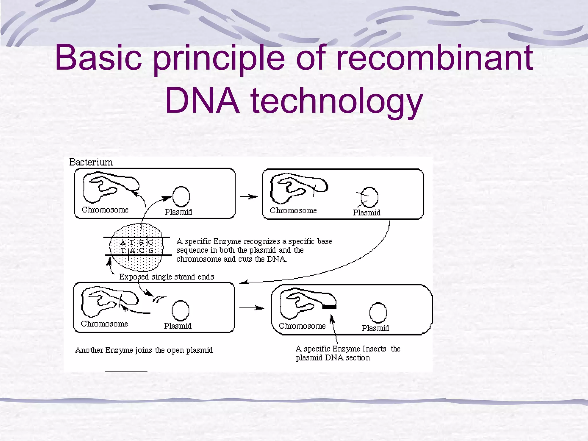 Basic principle of recombinant
DNA technology
 