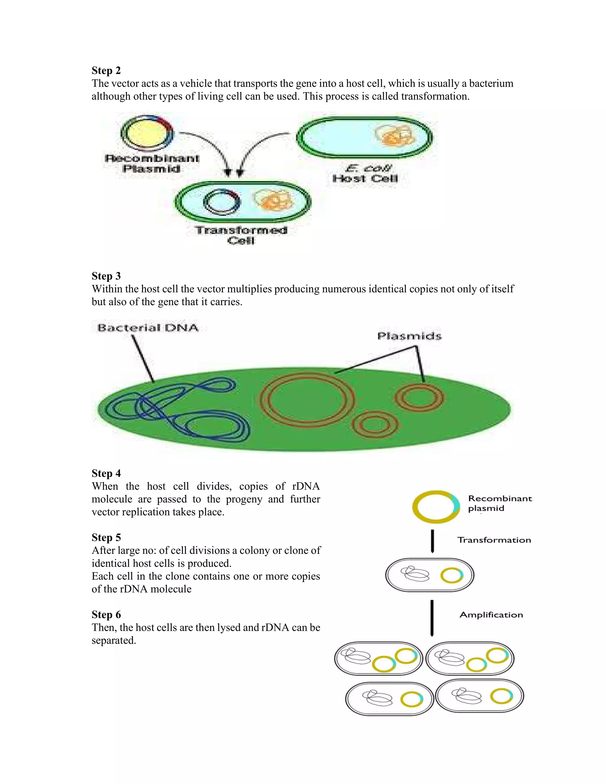 RECOMBINANT DNA TECHNOLOGY | PDF
