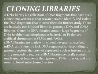 A DNA library is a collection of DNA fragments that have been
cloned into vectors so that researchers can identify and isolate
the DNA fragments that interest them for further study. There
are basically two kinds of libraries: genomic DNA and cDNA
libraries. Genomic DNA libraries contain large fragments of
DNA in either bacteriophages or bacterial or P1-derived
artificial chromosomes (BACs and. PACs).
cDNA libraries are made with cloned, reverse-transcribed
mRNA, and therefore lack DNA sequences corresponding to
genomic regions that are not expressed, such as introns and 5′
and 3′ noncoding regions. cDNA libraries generally contain
much smaller fragments than genomic DNA libraries, and are
usually cloned into plasmid vectors.
CLONING LIBRARIES
 