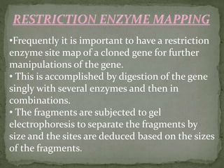 •Frequently it is important to have a restriction
enzyme site map of a cloned gene for further
manipulations of the gene.
• This is accomplished by digestion of the gene
singly with several enzymes and then in
combinations.
• The fragments are subjected to gel
electrophoresis to separate the fragments by
size and the sites are deduced based on the sizes
of the fragments.
 