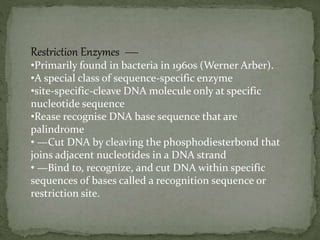 Restriction Enzymes —
•Primarily found in bacteria in 1960s (Werner Arber).
•A special class of sequence-specific enzyme
•site-specific-cleave DNA molecule only at specific
nucleotide sequence
•Rease recognise DNA base sequence that are
palindrome
• —Cut DNA by cleaving the phosphodiesterbond that
joins adjacent nucleotides in a DNA strand
• —Bind to, recognize, and cut DNA within specific
sequences of bases called a recognition sequence or
restriction site.
 