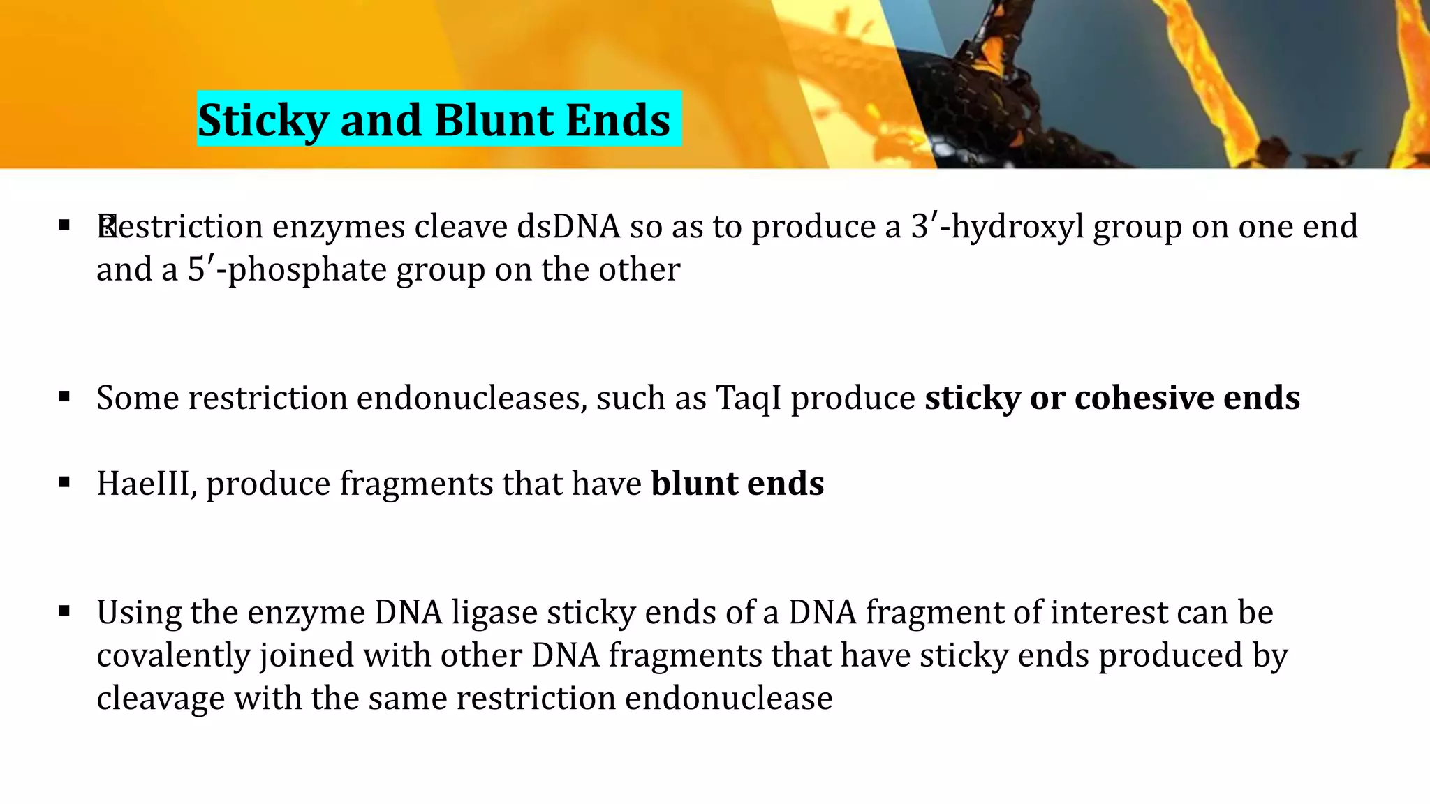 Sticky and Blunt Ends
 ﻿Restriction enzymes cleave dsDNA so as to produce a 3′-hydroxyl group on one end
and a 5′-phosphate group on the other
 Some restriction endonucleases, such as TaqI produce sticky or cohesive ends
 HaeIII, produce fragments that have blunt ends
 Using the enzyme DNA ligase sticky ends of a DNA fragment of interest can be
covalently joined with other DNA fragments that have sticky ends produced by
cleavage with the same restriction endonuclease
 