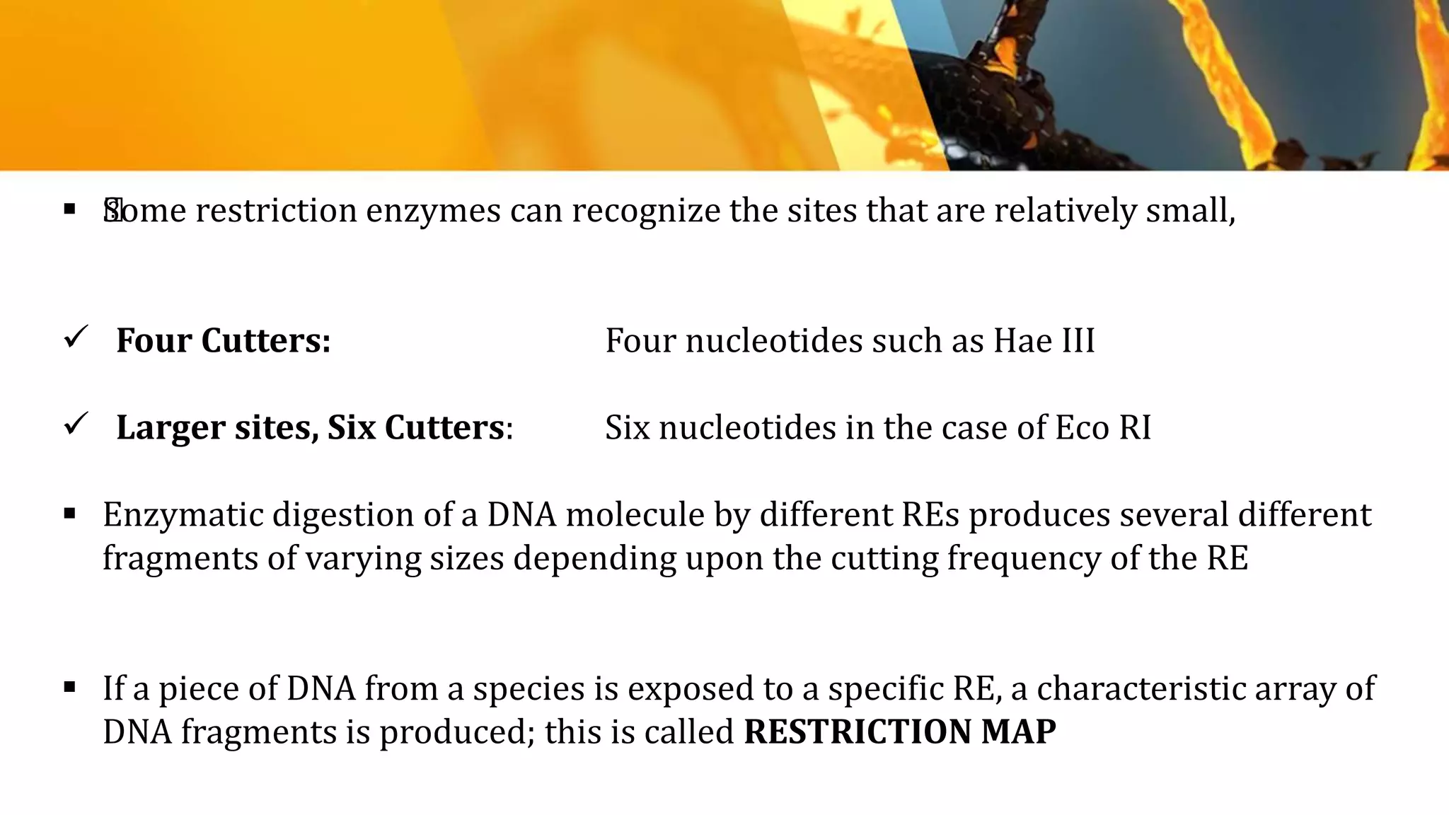  ﻿Some restriction enzymes can recognize the sites that are relatively small,
 Four Cutters: Four nucleotides such as Hae III
 Larger sites, Six Cutters: Six nucleotides in the case of Eco RI
 Enzymatic digestion of a DNA molecule by different REs produces several different
fragments of varying sizes depending upon the cutting frequency of the RE
 If a piece of DNA from a species is exposed to a specific RE, a characteristic array of
DNA fragments is produced; this is called RESTRICTION MAP
 
