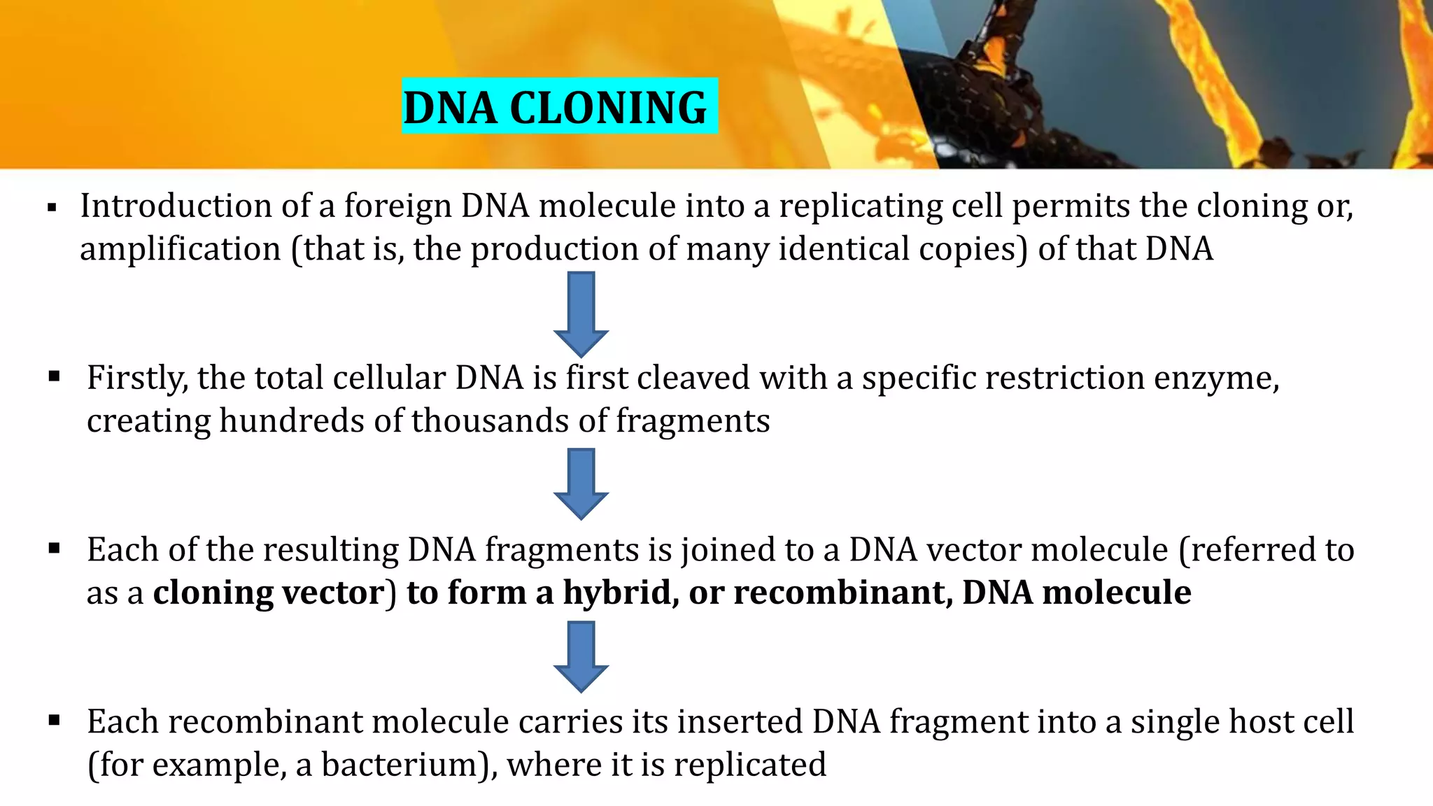 DNA CLONING
 Introduction of a foreign DNA molecule into a replicating cell permits the cloning or,
amplification (that is, the production of many identical copies) of that DNA
 Firstly, the total cellular DNA is first cleaved with a specific restriction enzyme,
creating hundreds of thousands of fragments
 Each of the resulting DNA fragments is joined to a DNA vector molecule (referred to
as a cloning vector) to form a hybrid, or recombinant, DNA molecule
 Each recombinant molecule carries its inserted DNA fragment into a single host cell
(for example, a bacterium), where it is replicated
 