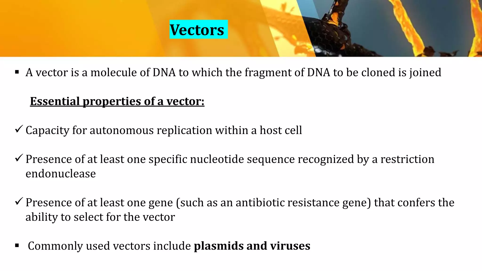  A vector is a molecule of DNA to which the fragment of DNA to be cloned is joined
Essential properties of a vector:
 Capacity for autonomous replication within a host cell
 Presence of at least one specific nucleotide sequence recognized by a restriction
endonuclease
 Presence of at least one gene (such as an antibiotic resistance gene) that confers the
ability to select for the vector
 Commonly used vectors include plasmids and viruses
﻿Vectors
 