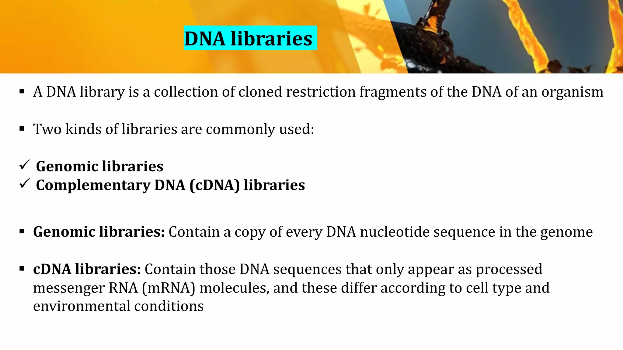  A DNA library is a collection of cloned restriction fragments of the DNA of an organism
 Two kinds of libraries are commonly used:
 Genomic libraries
 Complementary DNA (cDNA) libraries
 Genomic libraries: Contain a copy of every DNA nucleotide sequence in the genome
 cDNA libraries: Contain those DNA sequences that only appear as processed
messenger RNA (mRNA) molecules, and these differ according to cell type and
environmental conditions
﻿DNA libraries
 