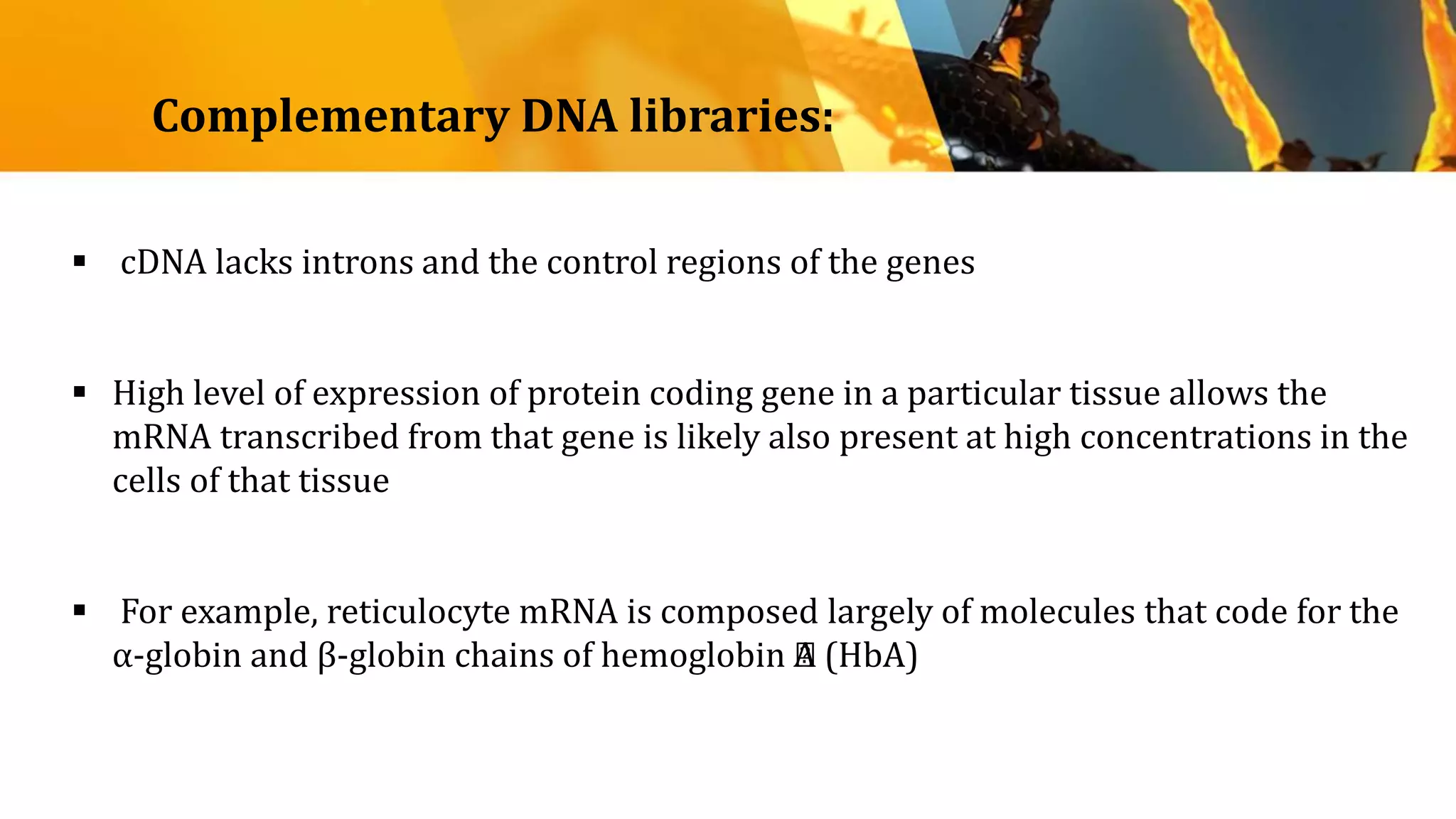  cDNA lacks introns and the control regions of the genes
 High level of expression of protein coding gene in a particular tissue allows the
mRNA transcribed from that gene is likely also present at high concentrations in the
cells of that tissue
 For example, reticulocyte mRNA is composed largely of molecules that code for the
α-globin and β-globin chains of hemoglobin ﻿A (HbA)
Complementary DNA libraries:
 