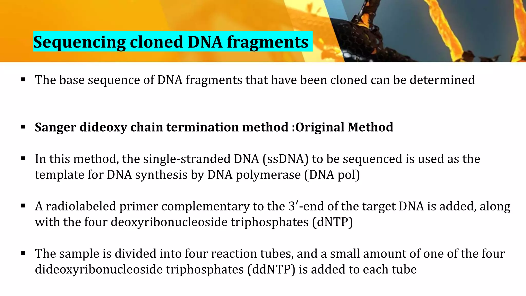 Sequencing cloned DNA fragments
 The base sequence of DNA fragments that have been cloned can be determined
 Sanger dideoxy chain termination method :Original Method
 In this method, the single-stranded DNA (ssDNA) to be sequenced is used as the
template for DNA synthesis by DNA polymerase (DNA pol)
 A radiolabeled primer complementary to the 3′-end of the target DNA is added, along
with the four deoxyribonucleoside triphosphates (dNTP)
 The sample is divided into four reaction tubes, and a small amount of one of the four
dideoxyribonucleoside triphosphates (ddNTP) is added to each tube
 