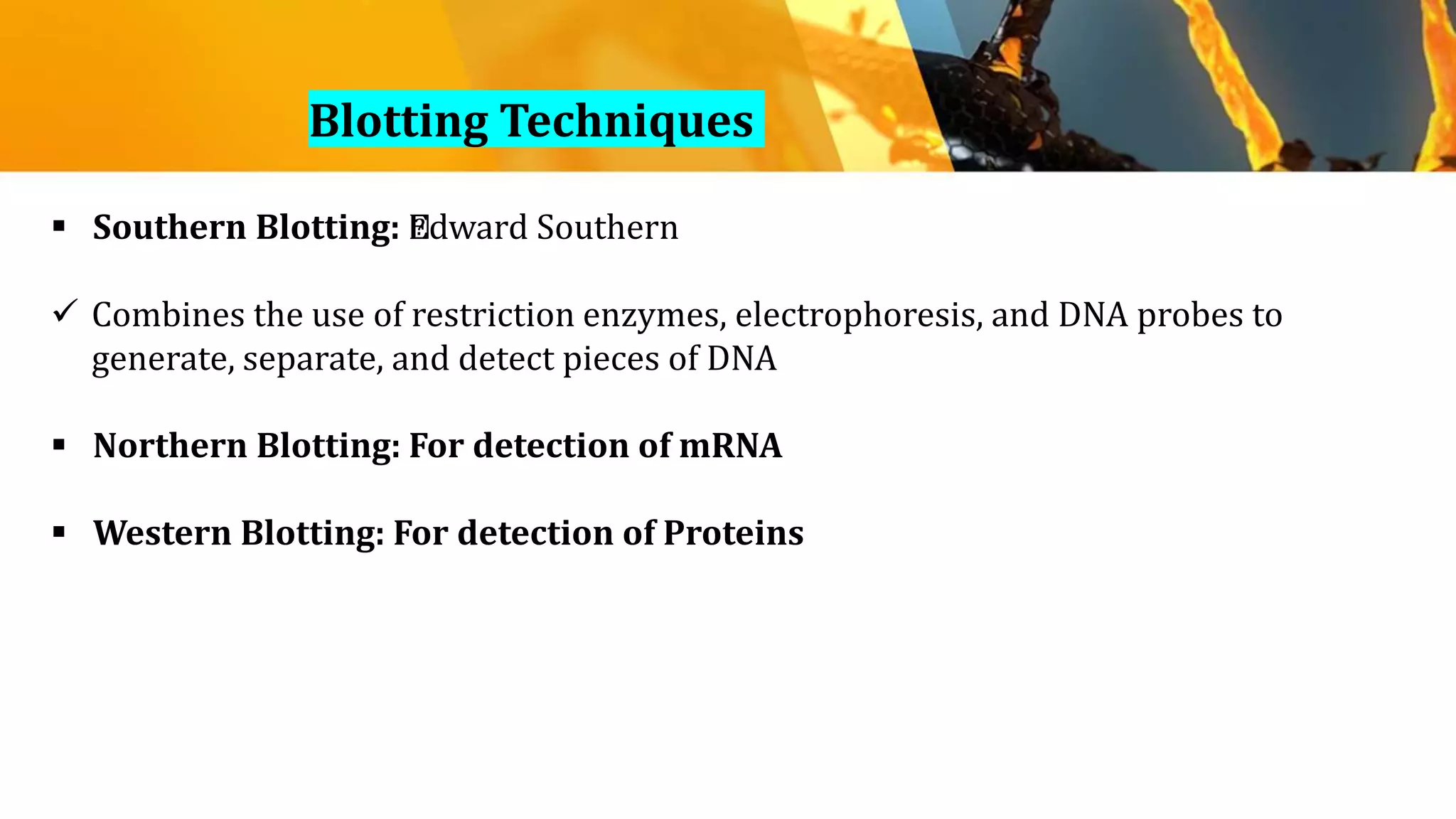 Blotting Techniques
 Southern Blotting: ﻿Edward Southern
 Combines the use of restriction enzymes, electrophoresis, and DNA probes to
generate, separate, and detect pieces of DNA
 Northern Blotting: For detection of mRNA
 Western Blotting: For detection of Proteins
 