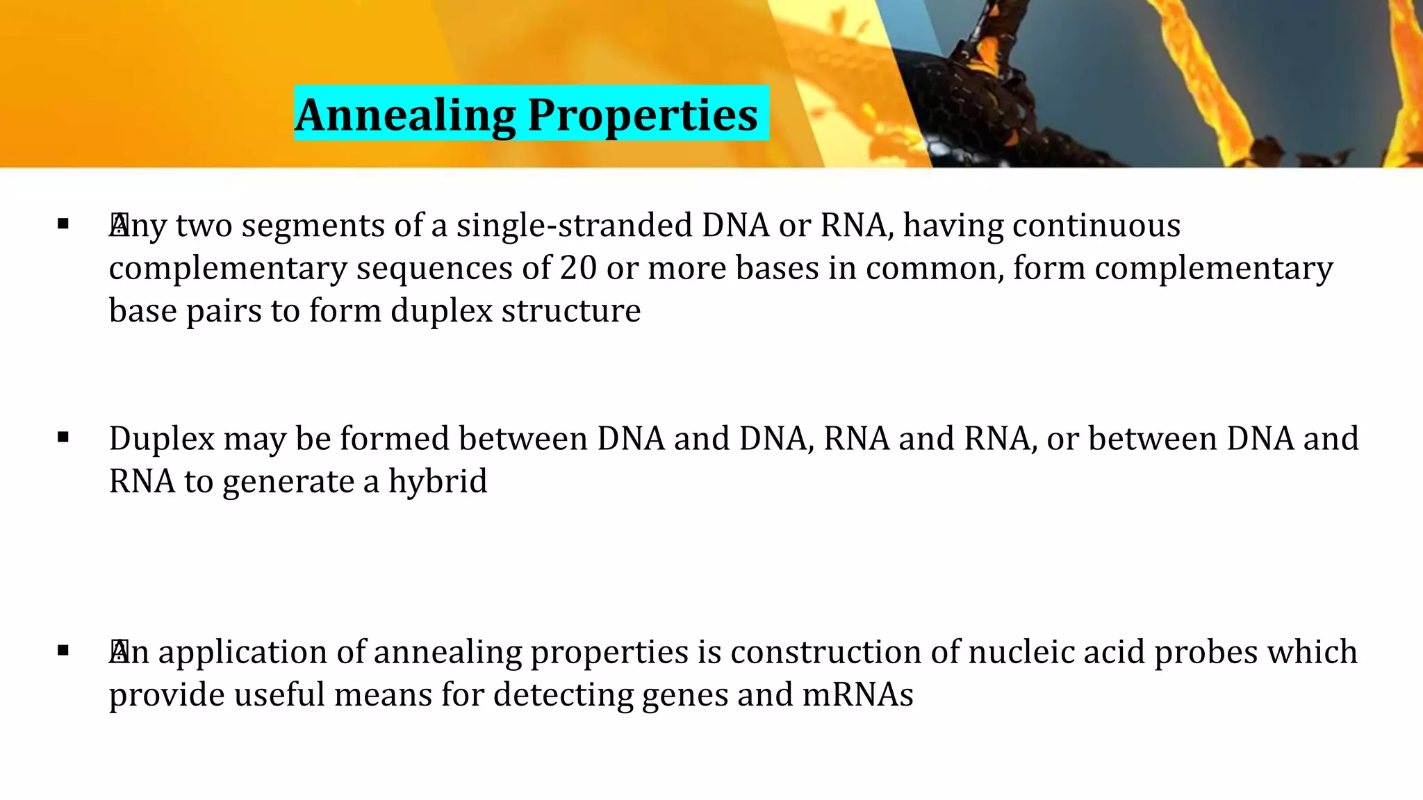  ﻿Any two segments of a single-stranded DNA or RNA, having continuous
complementary sequences of 20 or more bases in common, form complementary
base pairs to form duplex structure
 Duplex may be formed between DNA and DNA, RNA and RNA, or between DNA and
RNA to generate a hybrid
 ﻿An application of annealing properties is construction of nucleic acid probes which
provide useful means for detecting genes and mRNAs
﻿Annealing Properties
 