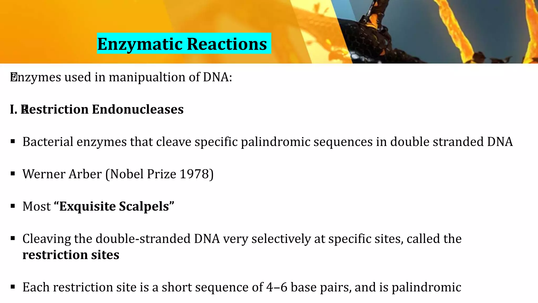 Enzymatic Reactions
﻿Enzymes used in manipualtion of DNA:
I. ﻿Restriction Endonucleases
 Bacterial enzymes that cleave specific palindromic sequences in double stranded DNA
 Werner Arber (Nobel Prize 1978)
 Most “Exquisite Scalpels”
 Cleaving the double-stranded DNA very selectively at specific sites, called the
restriction sites
 Each restriction site is a short sequence of 4–6 base pairs, and is palindromic
 