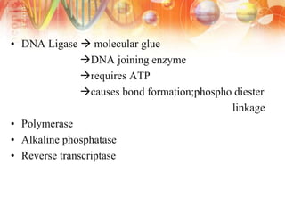 • DNA Ligase  molecular glue
DNA joining enzyme
requires ATP
causes bond formation;phospho diester
linkage
• Polymerase
• Alkaline phosphatase
• Reverse transcriptase
 