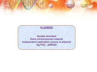 PLASMIDS
Double stranded
Extra chromosomal material
Independent replication occurs in plasmid
Eg PUC, pBR322
 