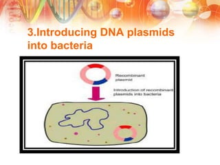 3.Introducing DNA plasmids
into bacteria
 