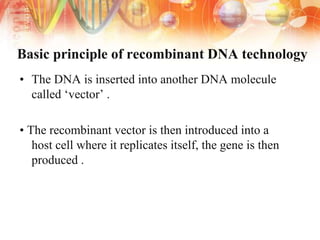 Basic principle of recombinant DNA technology
• The DNA is inserted into another DNA molecule
called ‘vector’ .
• The recombinant vector is then introduced into a
host cell where it replicates itself, the gene is then
produced .
 