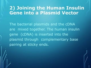 2) Joining the Human Insulin
Gene into a Plasmid Vector
The bacterial plasmids and the cDNA
are mixed together. The human insulin
gene (cDNA) is inserted into the
plasmid through complementary base
pairing at sticky ends.
 