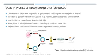 Recombinant dna technology | PPTX