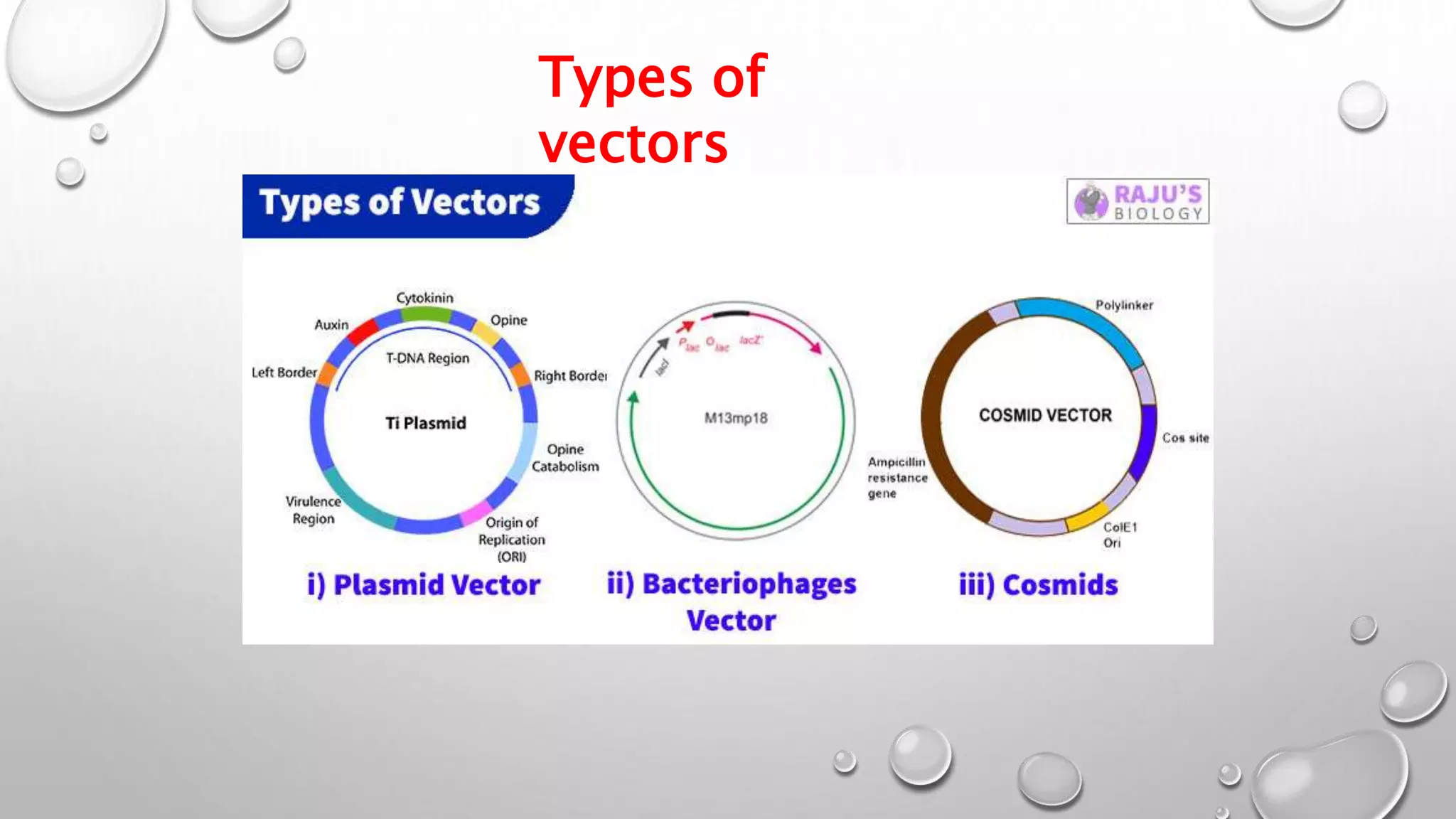 Types of
vectors
 