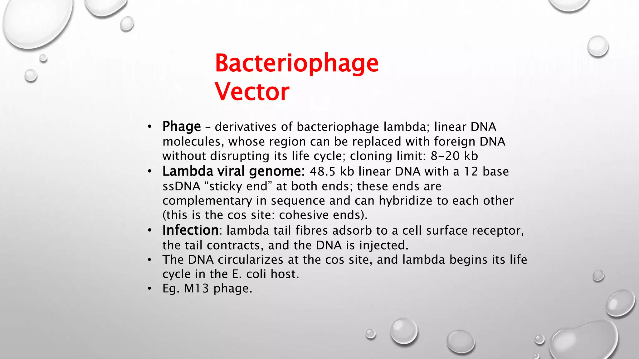 Bacteriophage
Vector
• Phage – derivatives of bacteriophage lambda; linear DNA
molecules, whose region can be replaced with foreign DNA
without disrupting its life cycle; cloning limit: 8-20 kb
• Lambda viral genome: 48.5 kb linear DNA with a 12 base
ssDNA “sticky end” at both ends; these ends are
complementary in sequence and can hybridize to each other
(this is the cos site: cohesive ends).
• Infection: lambda tail fibres adsorb to a cell surface receptor,
the tail contracts, and the DNA is injected.
• The DNA circularizes at the cos site, and lambda begins its life
cycle in the E. coli host.
• Eg. M13 phage.
 