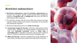 Restriction endonucleases
 Restriction endonucleases (type II restriction endonucleases) are
enzymes that recognize specific double-stranded DNA palindromic
sequences (recognition site, or binding site) and cleave the DNA in
both strands at these sequences.
 For molecular cloning, both the source DNA that contains the target
sequence and the cloning vector must be consistently cut into discrete
and reproducible fragments.
 Restriction endonucleases have two modes of cleavage:
1) Symmetrical staggered cleavage: restriction endonucleases digest
(cleave) DNA, producing two single-stranded, complementary cut
ends with nucleotide extensions, known as sticky ends or
protruding ends (5′ phosphate extensions with recessed 3′ hydroxyl
ends or 3′ hydroxyl extensions with recessed 5′ phosphate ends).
2) Blunt-end cleavage: restriction endonucleases cut the backbones of
both strands to produce blunt-ended (flush-ended) DNA molecules.
 