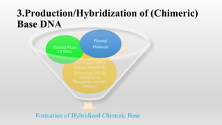 3.Production/Hybridization of (Chimeric)
Base DNA
Formation of Hybridized Chimeric Base
DNA Ligase (DNA
joining enzyme) &
(it requires ATP de
formation of
Phosphodi -esterase
linkage)
Desired Piece
Of DNA
Plasmid
Molecule
 