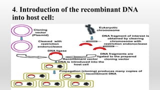 4. Introduction of the recombinant DNA
into host cell:
 