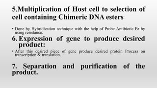 5.Multiplication of Host cell to selection of
cell containing Chimeric DNA esters
• Done by Hybridization technique with the help of Probe Antibiotic Br by
using resistance.
6. Expression of gene to produce desired
product:
• After this desired piece of gene produce desired protein Process on
transcription & translation.
7. Separation and purification of the
product.
 