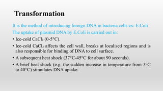 Transformation
It is the method of introducing foreign DNA in bacteria cells ex: E.Coli
The uptake of plasmid DNA by E.Coli is carried out in:
• Ice-cold CaCl₂ (0-5°C).
• Ice-cold CaCl₂ affects the cell wall, breaks at localised regions and is
also responsible for binding of DNA to cell surface.
• A subsequent heat shock (37°C-45°C for about 90 seconds).
• A brief heat shock (e.g. the sudden increase in temperature from 5°C
to 40°C) stimulates DNA uptake.
 