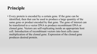 Principle
• Every protein is encoded by a certain gene. If the gene can be
identified, then that can be used to produce a large quantity of the
same gene or product encoded by that gene. The gene of interest can
be transferred to a vector DNA to produce recombinant DNA or
cloned gene. Vectors are self-replicating inside an appropriate host
cell. Introduction of recombinant vectors into host cells cause
multiplication of the cloned gene. Expression of the cloned gene
produces desired protein.
 