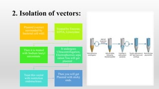 2. Isolation of vectors:
Plasmid (vector)
surrounded by
bacterial cell wall.
Treated by Enzyme,
EDTA, Lysozymes.
Then it is treated
with Sodium lauryl
sarcosinate.
It undergoes
Ultracentrifugation,
Electrophoresis sepa
ration You will get
plasmid .
Treat this vector
with restriction
endonuclease.
Then you will get
Plasmid with sticky
ends.
 