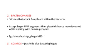 2. BACTERIOPHAGES
• Viruses that attack & replicate within the bacteria
• Accept larger DNA segments than plasmids hence more favoured
while working with human genomes
• Eg : lambda phage,phage M13
3. COSMIDS – plasmids plus bacteriophages
 