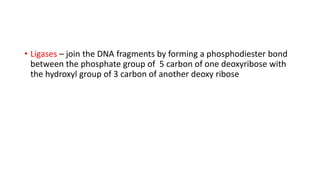 • Ligases – join the DNA fragments by forming a phosphodiester bond
between the phosphate group of 5 carbon of one deoxyribose with
the hydroxyl group of 3 carbon of another deoxy ribose
 