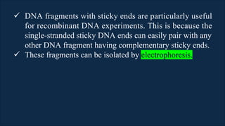 Recombinant DNA Technology Presentation.pdf